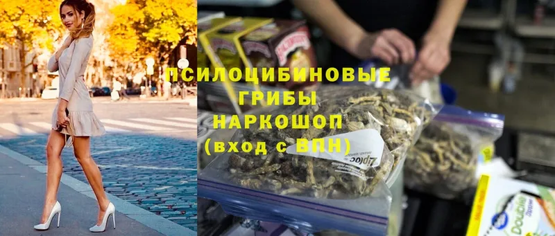 магазин продажи   Всеволожск  блэк спрут ТОР  Псилоцибиновые грибы Magic Shrooms 